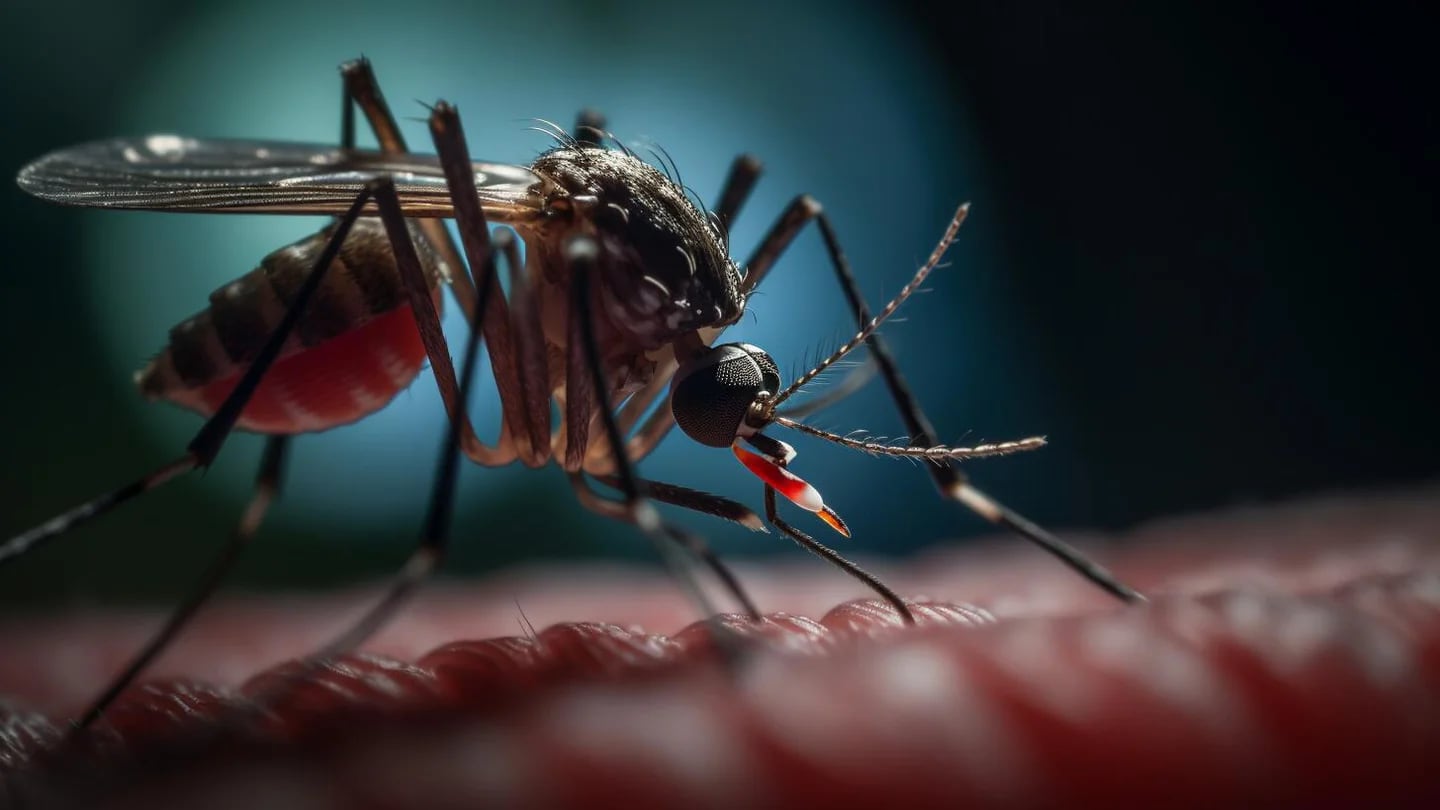 el-salvador-reporta-cuarta-victima-mortal-por-dengue